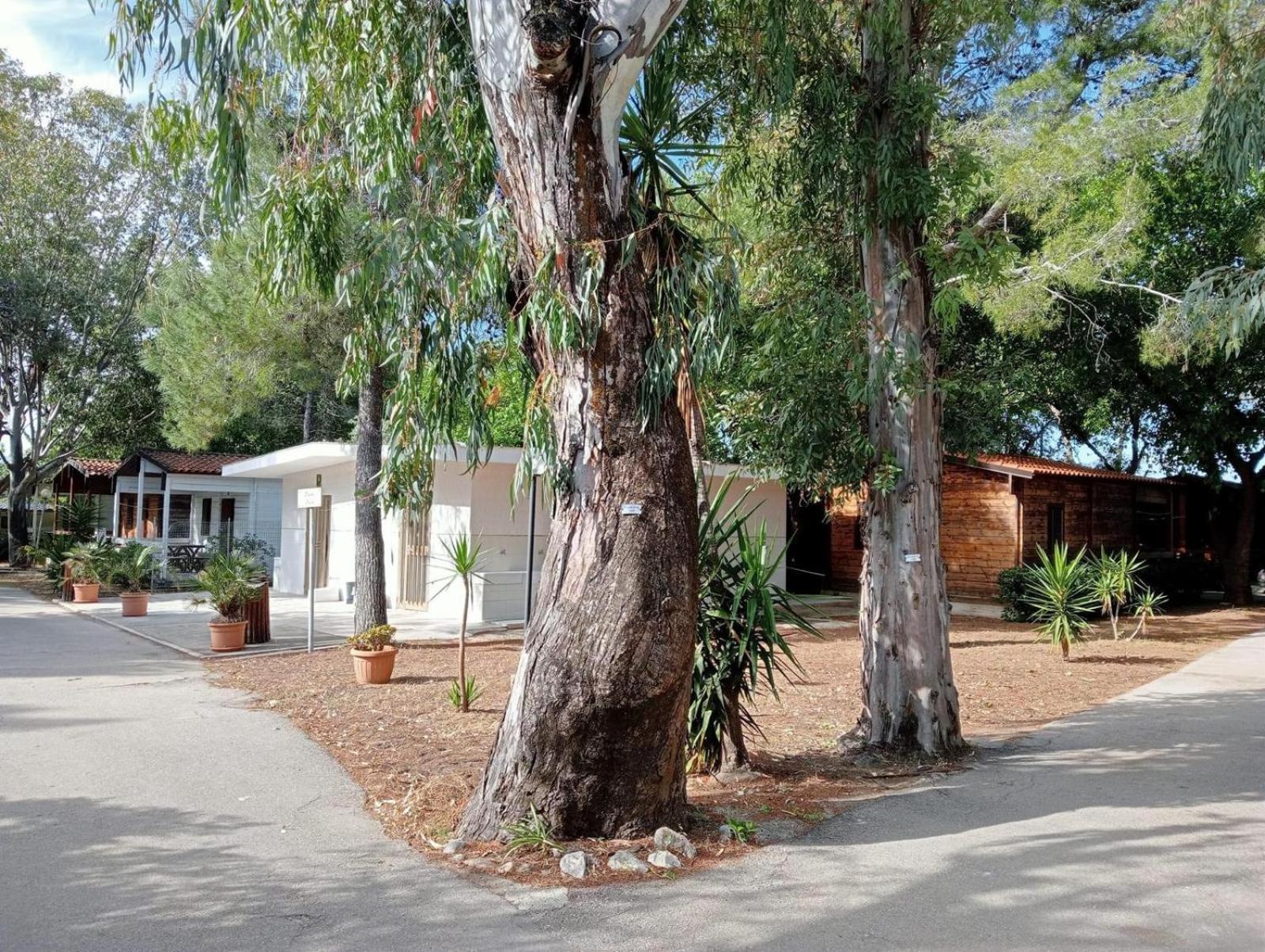Viola Club Village & Camping Foce Varano Buitenkant foto