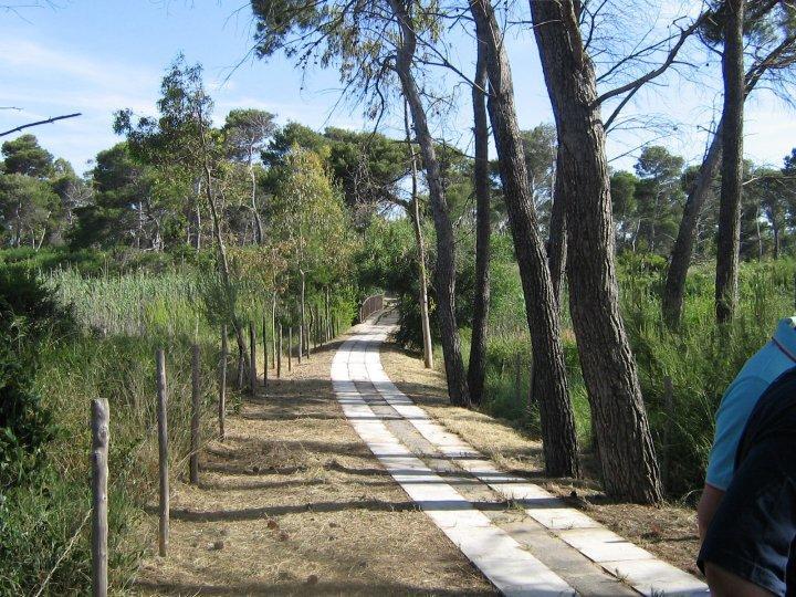 Viola Club Village & Camping Foce Varano Buitenkant foto