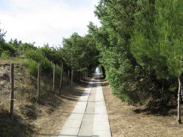 Viola Club Village & Camping Foce Varano Buitenkant foto
